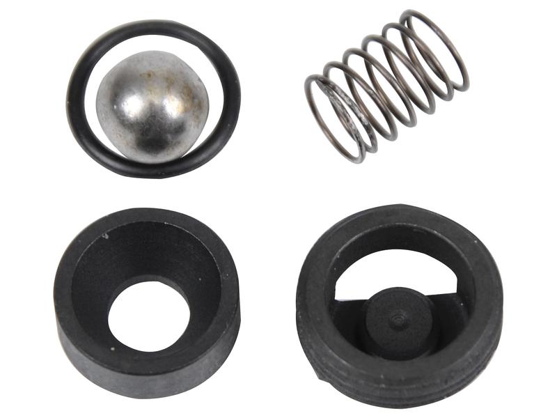 Kit reparação da valvula (S.108447)