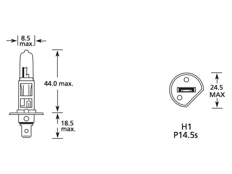 Lâmpada 12V P14.5s Caixa 1 un. (S.109974)
