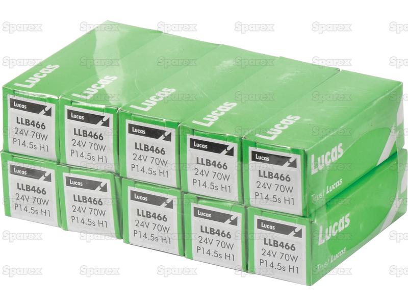 Lâmpada 24V P14.5s Caixa 1 un. (S.109977)