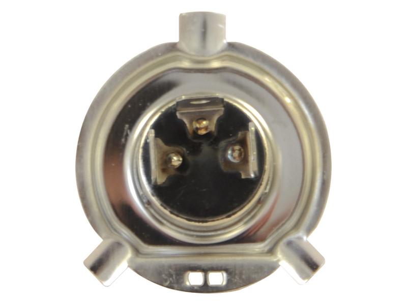 Lâmpada 24V P43t Caixa 1 un. (S.109988)