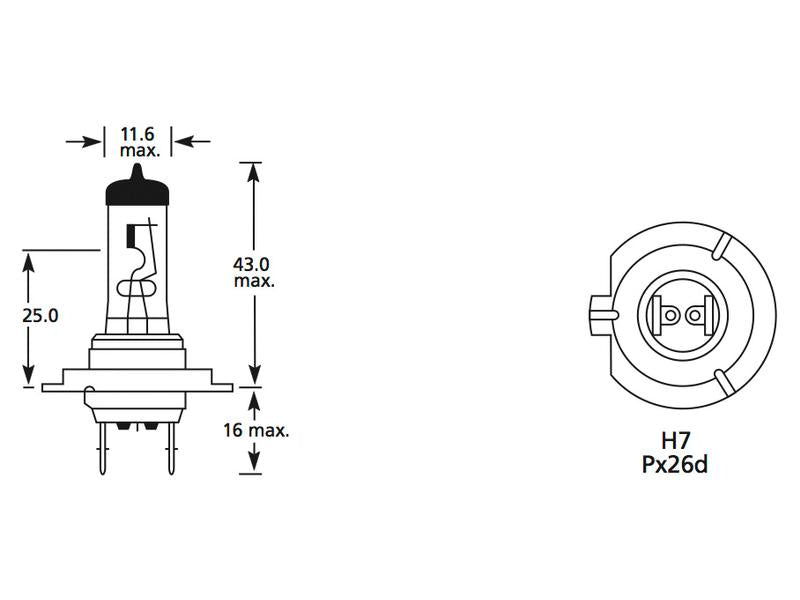 Lâmpada 12V PX26d Caixa 1 un. (S.109990)