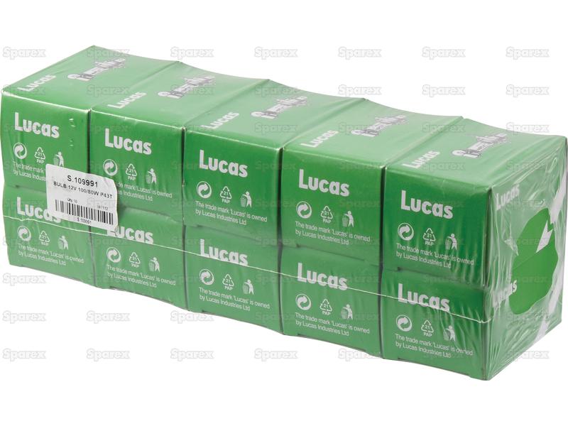Lâmpada 12V P43t Caixa 1 un. (S.109991)