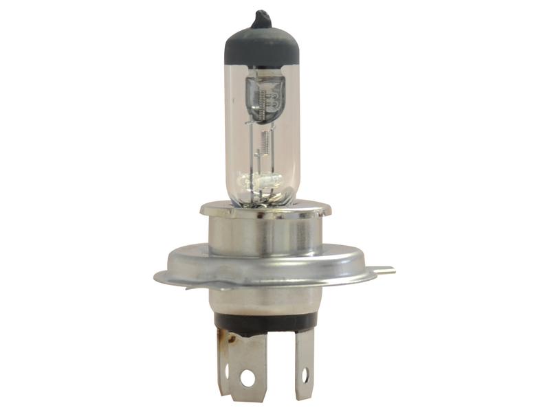 Lâmpada 12V P43t Blister 1 un. (S.110036)