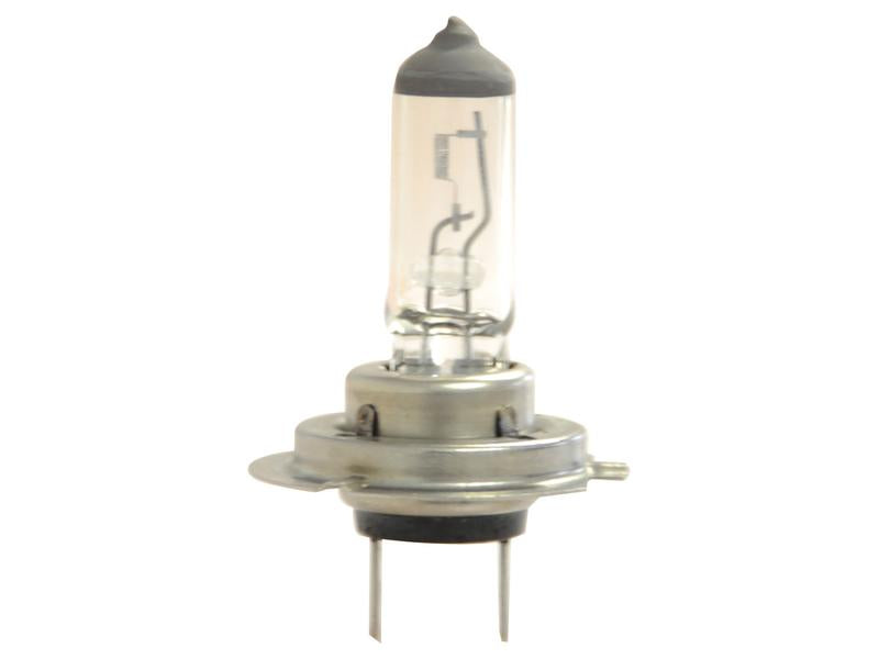 Lâmpada 12V PX26d Blister 1 un. (S.110038)