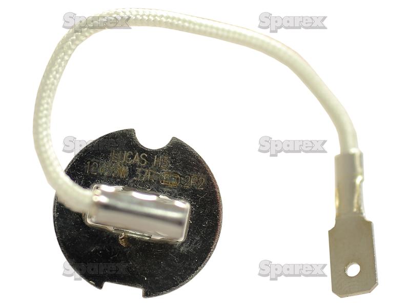 Lâmpada 12V PK22s Blister 1 un. (S.110043)