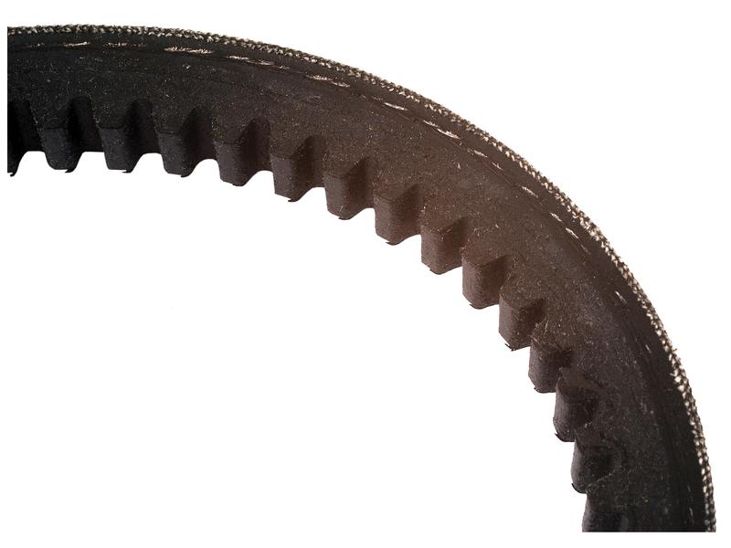 Correia AV13 x 1385 (S.11169)
