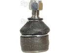 Ponteira Comp: 170mm (S.113798)