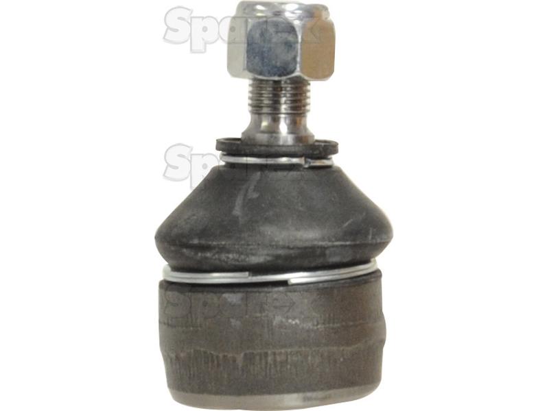 Ponteira Comp: 170mm (S.113798)