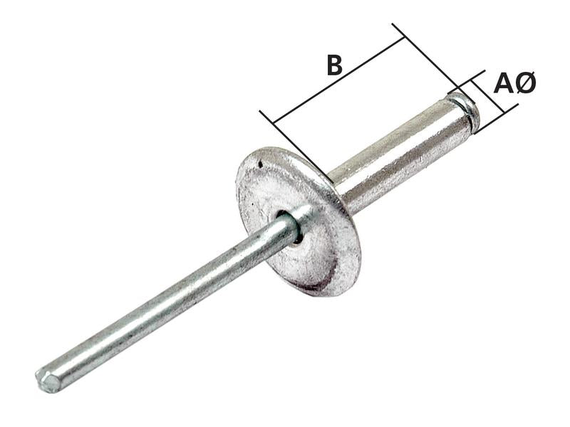 Agripak 50 un. Rebites POP 4.8 x 10mm (S.11463)