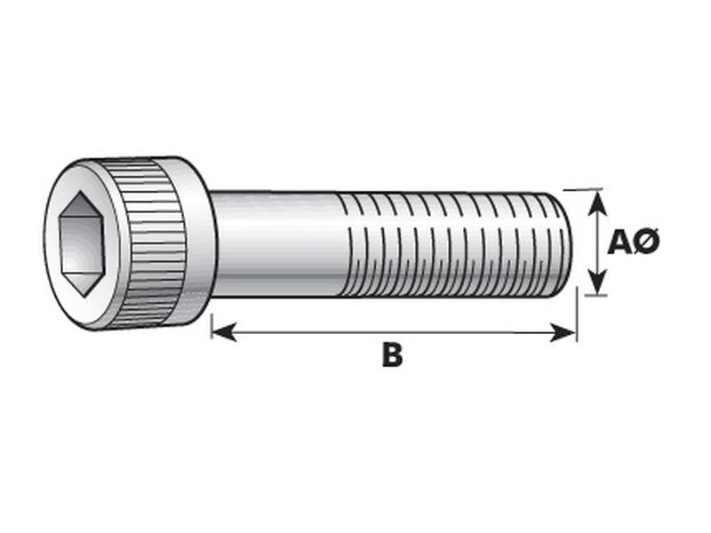 Parafuso Cabeça redonda sextavado interior, Tamanho da rosca: M3x12mm (DIN 912) (S.11643)