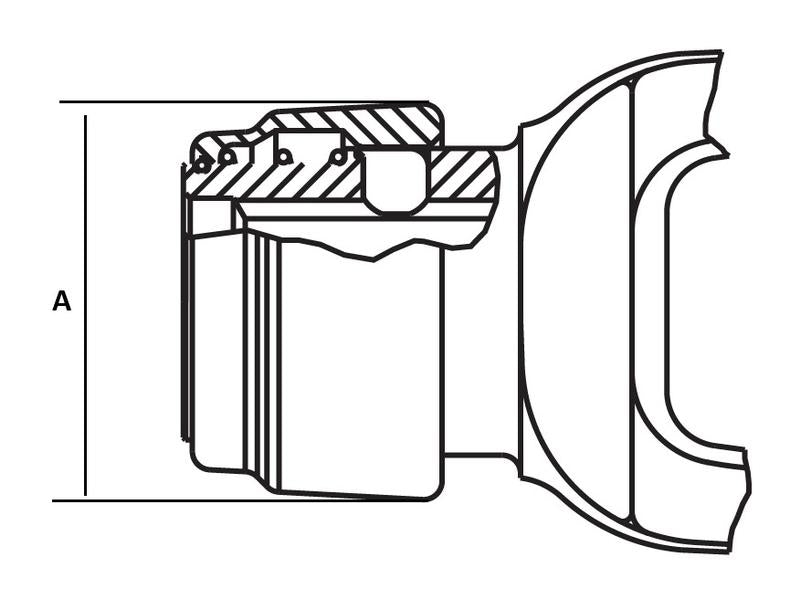 Kit rep. 1 3/8 (S.118943)