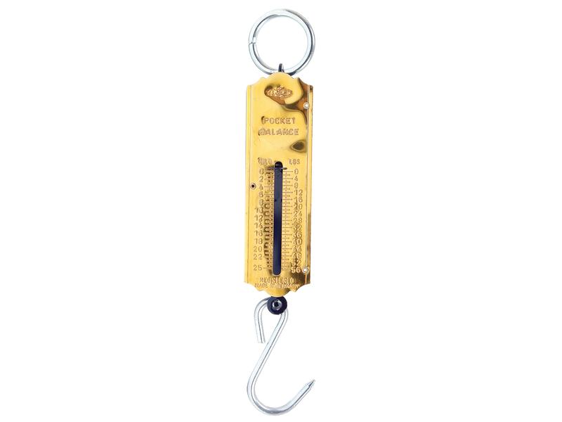Balança 25kg (S.12438)