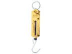 Balança 25kg (S.12438)