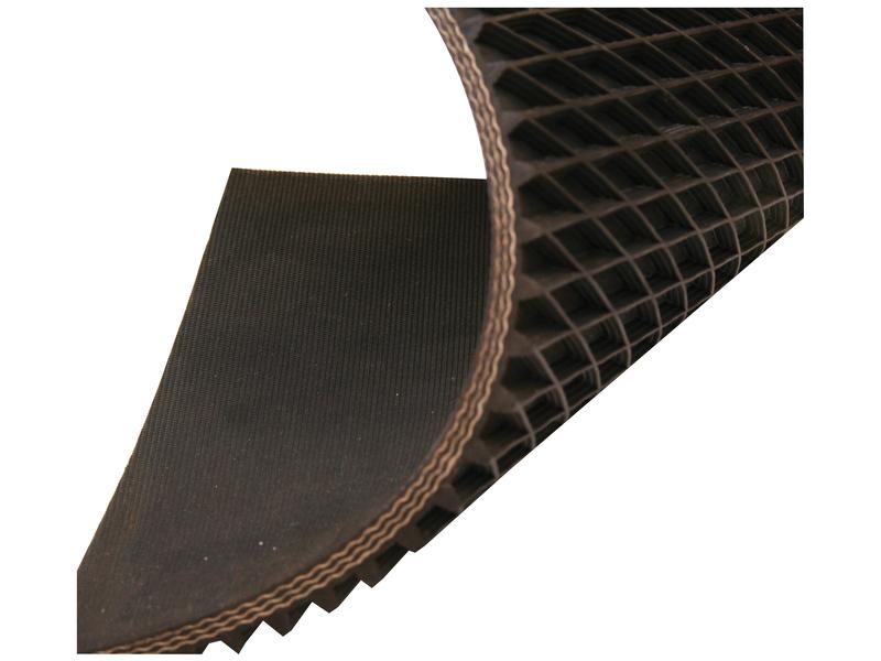 Correia - Webbed 178 x 9.0mm (S.128849)