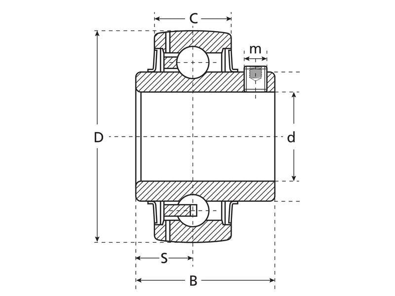 NTN SNR Chumaceira (UCX10) (S.129712)