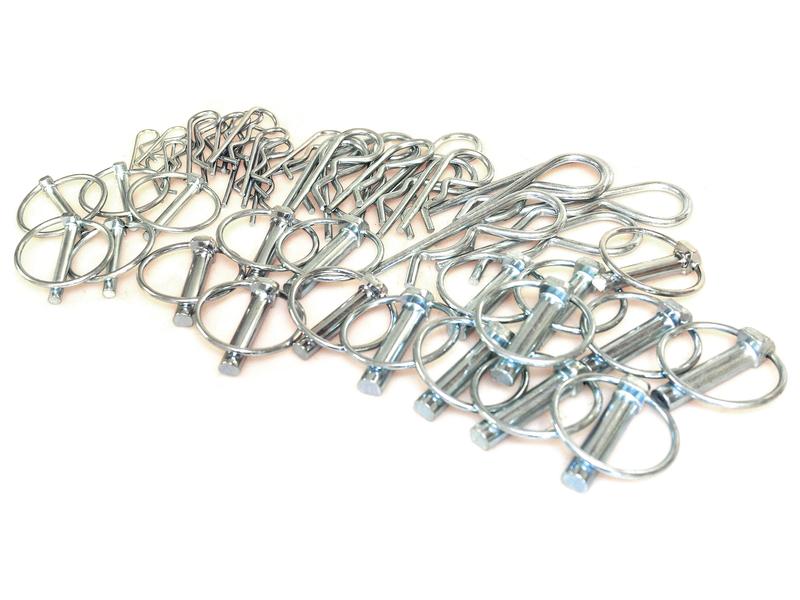 Saco 50 un. Kit cavilhas (S.13447)