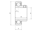 NTN SNR Chumaceira (US205) (S.138356)