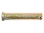 Polegadas Cavilha 12.70mm x 57.94mm (S.1445)