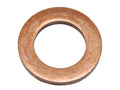 Anilha de bico injector (S.144923)