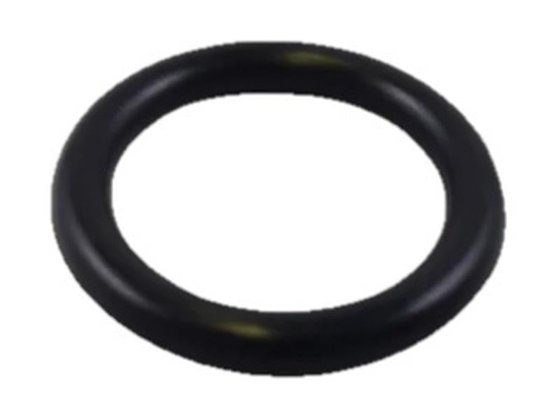 Anilha de bico injector (S.144927)