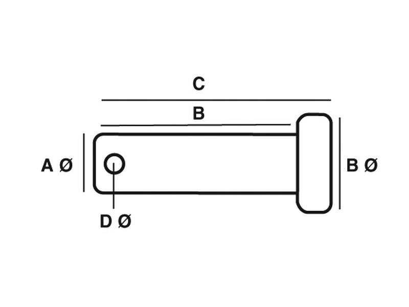 Polegadas Cavilha 7.94mm x 48.42mm (S.1469)
