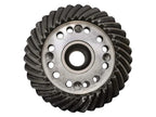 Grupo conico Z = 19 & 35 (S.148455)