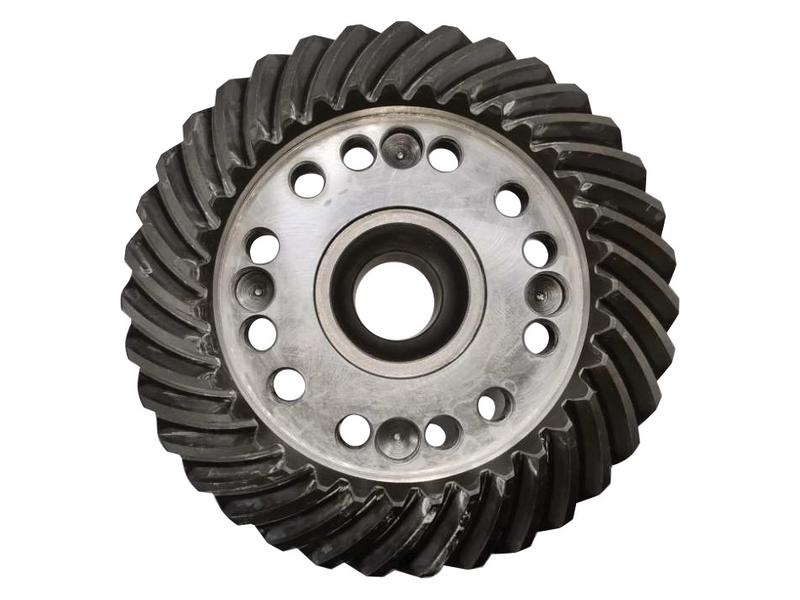 Grupo conico Z = 19 & 35 (S.148455)