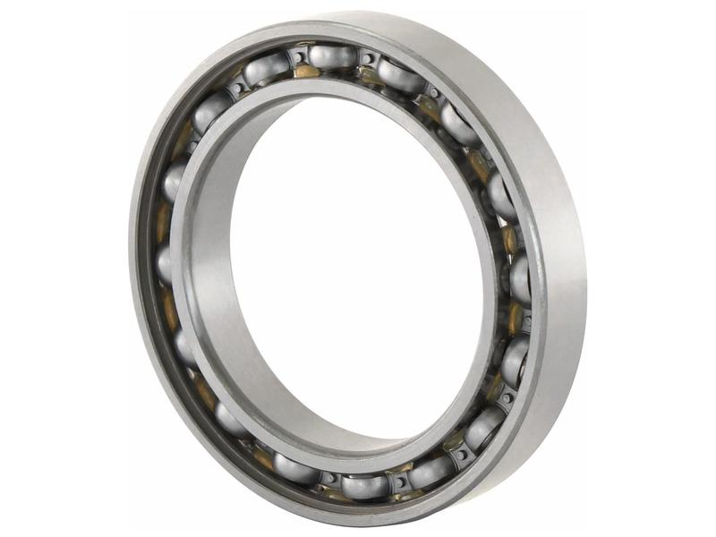 Sparex Rolamento (61910) (S.148897)