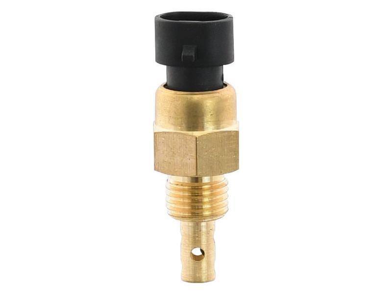 Sensor de temperatura do ar (S.151152)