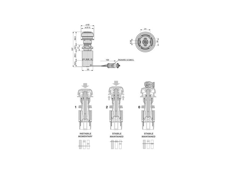 Interruptor P.T.O. (S.152358)