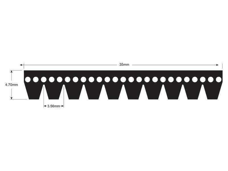 Correia 10PK1445 (S.155488)