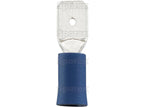 Terminal, Aperto Duplo - Macho, 6.3mm, Azul (1.5 - 2.5mm) (S.163562)