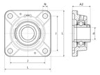 NTN SNR Chumaceira (UCFE210) (S.164883)