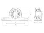 NTN SNR Chumaceira (UCPE208) (S.164888)