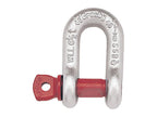 Manilha de corrente com cavilha aparafusada G210 - Carga de trabalho segura: 8 1/2T, Tamanho 1mm (1 un.) (S.164963)