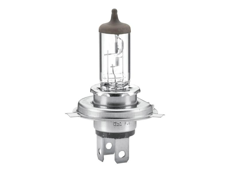 Lâmpada 12V P43t Caixa 1 un. (S.165690)