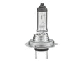 Lâmpada 12V PX26d Caixa 1 un. (S.165693)