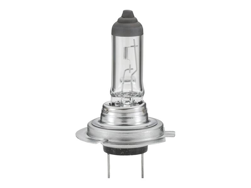 Lâmpada 12V PX26d Caixa 1 un. (S.165693)