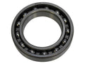 Sparex Rolamento (6010) (S.166841)