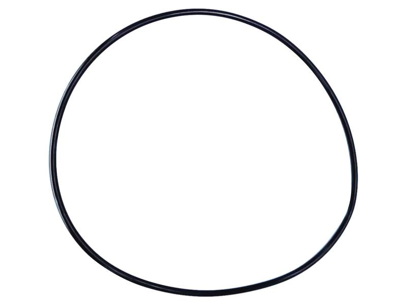Kit O'rings (S.169048)