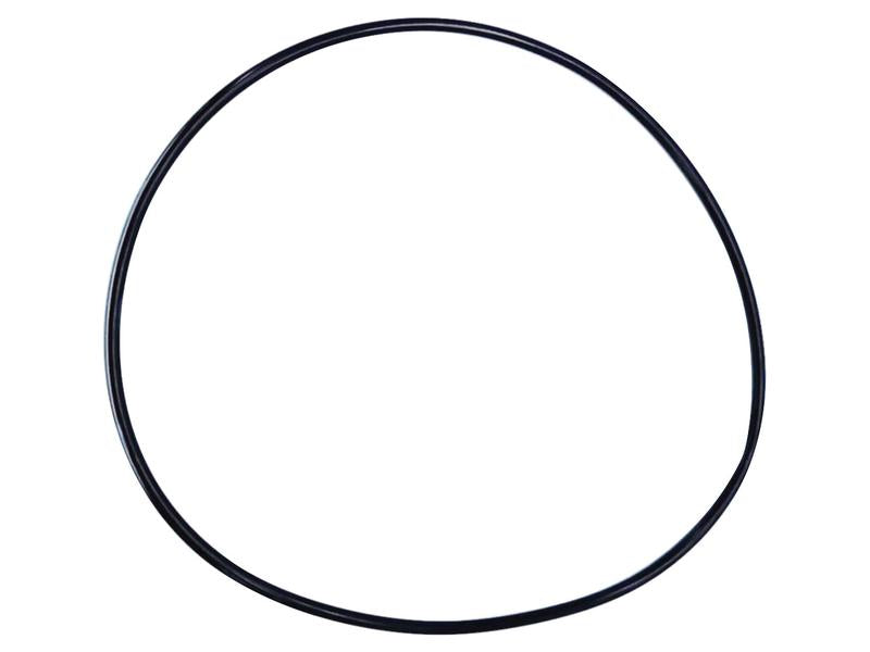 Kit O'rings (S.169049)