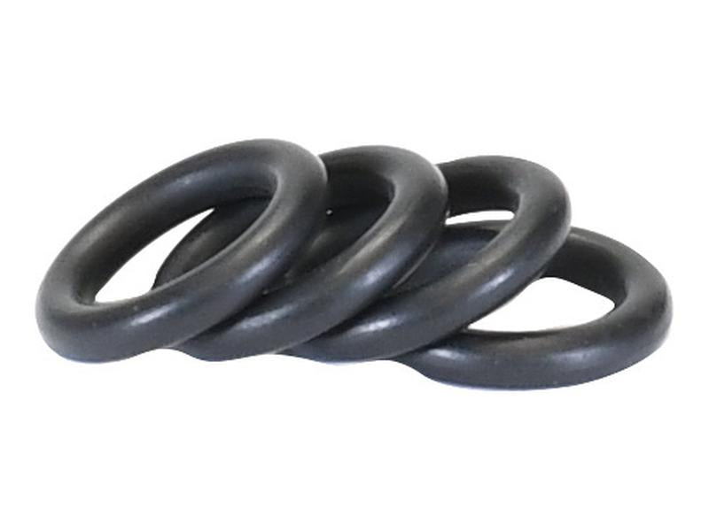 Kit O'rings (S.169052)
