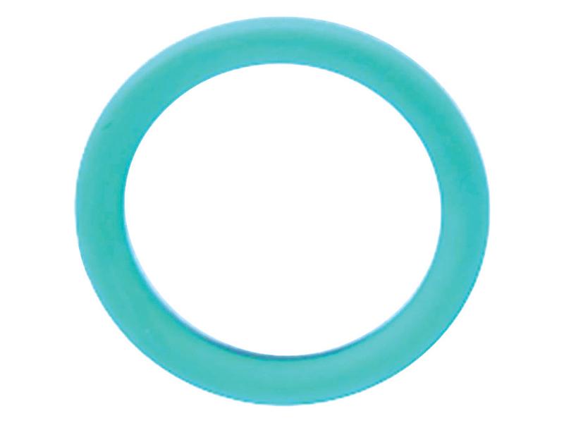 Kit O'rings (S.169053)