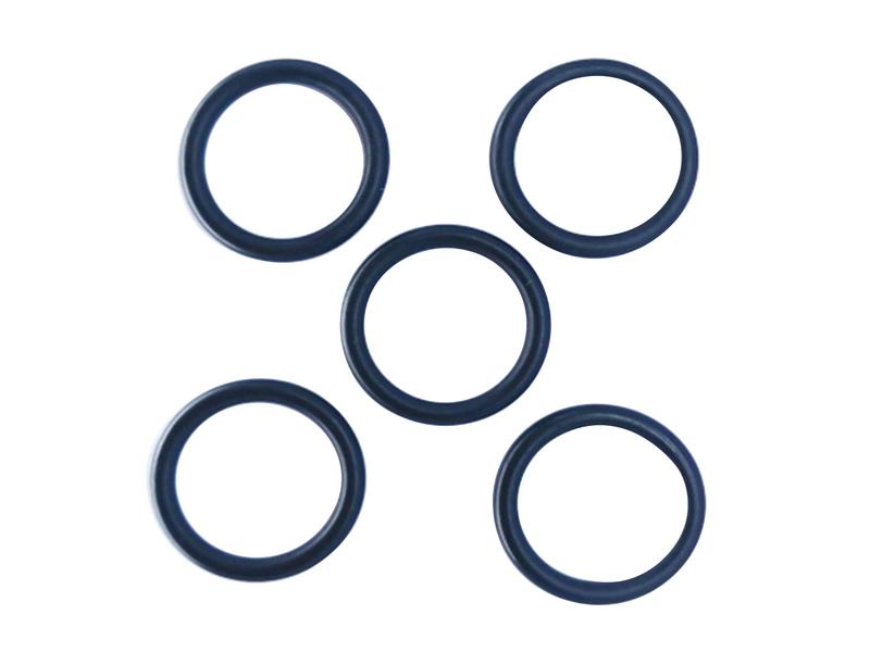 Kit O'rings (S.169054)