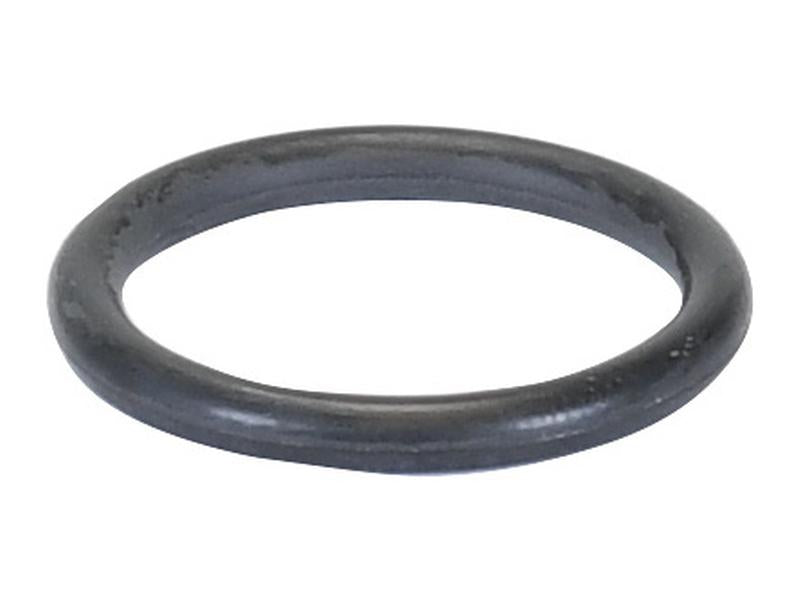 Kit O'rings (S.169055)