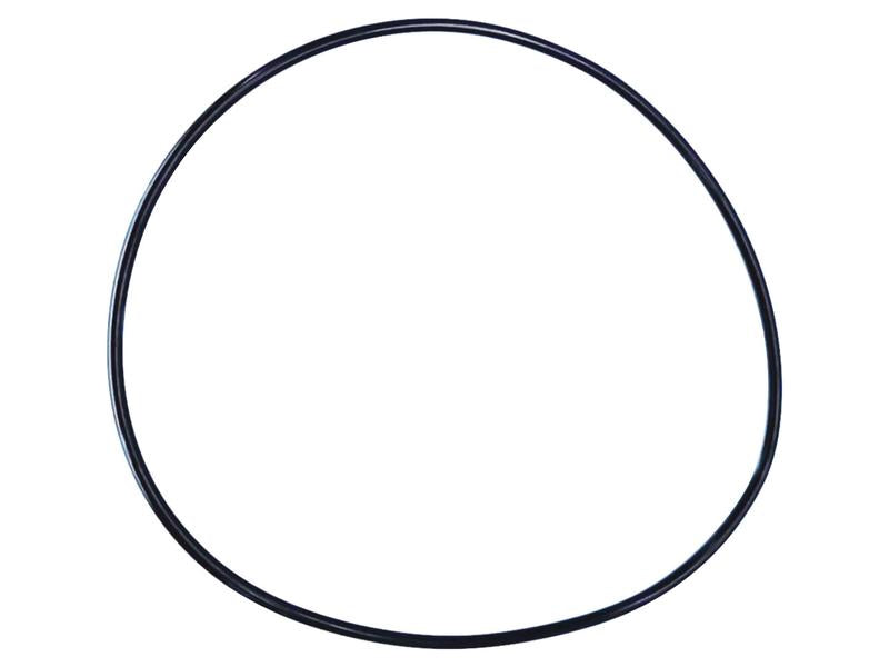 Kit O'rings (S.169059)
