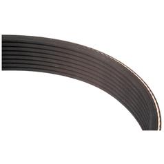 Correia 4PK950