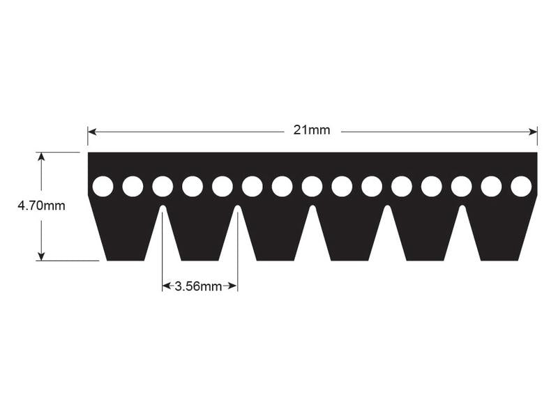 Correia 6PK855 (S.171169)