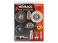 Kit abrasivos de troca rápida (10 un.) (S.171384)