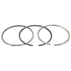 Pistão com segmentos Aplicavel em: 8094845